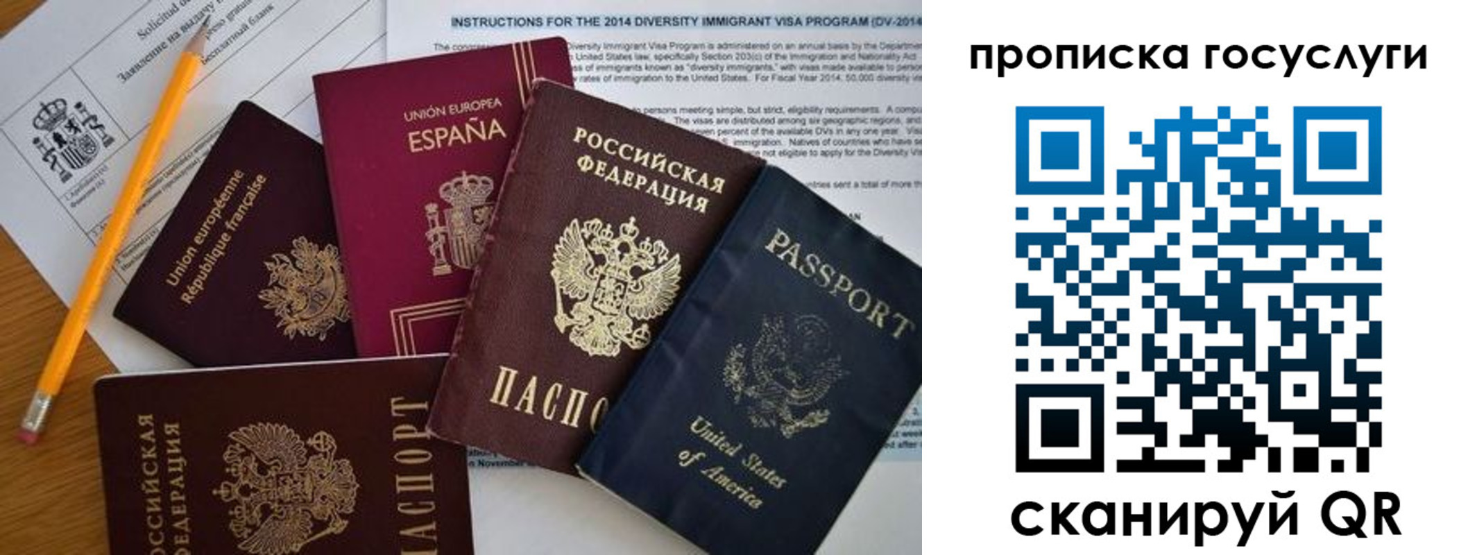 прописка гарантия в Новозыбкове